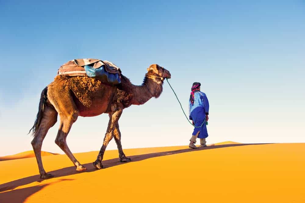 Circuit désert Merzouga au départ de Ouarzazate – 2 jours