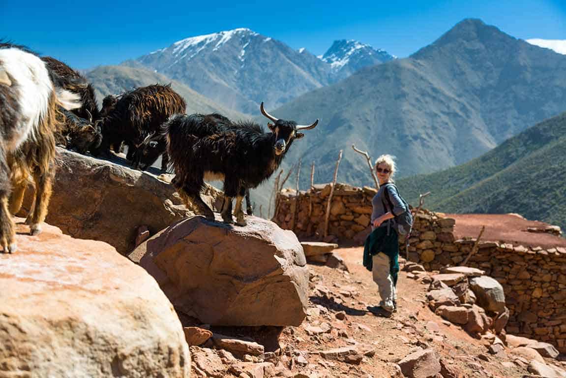Randonnée dans les gorges du Dades et Merzouga – 7 jours