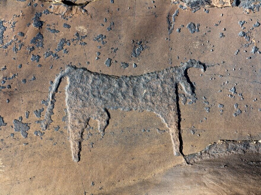 South Morocco Tour – Desert Rock Carvings – 7 days